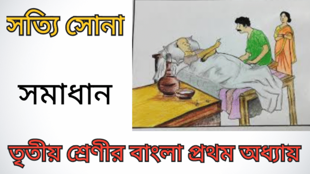 তৃতীয় শ্রেণীর বাংলা প্রথম অধ্যায় সত্যি সোনা