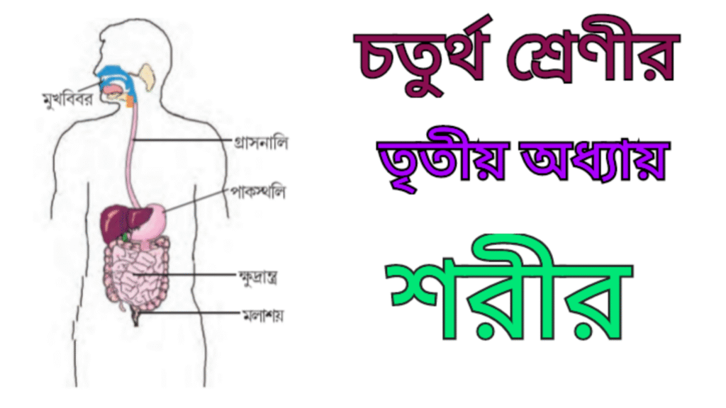 চতুর্থ শ্রেণী তৃতীয় অধ্যায়: শরীর