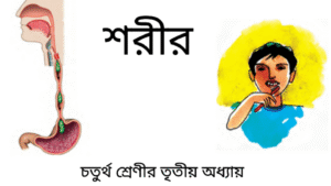 চতুর্থ শ্রেণী তৃতীয় অধ্যায়: শরীর