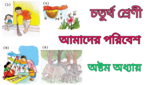 WB Class 4 Science Chapter 8 Important Questions