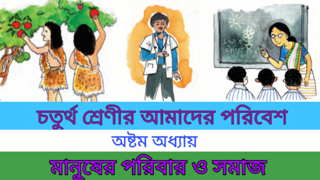 WB Class 4 Science Chapter 8 Important Questions