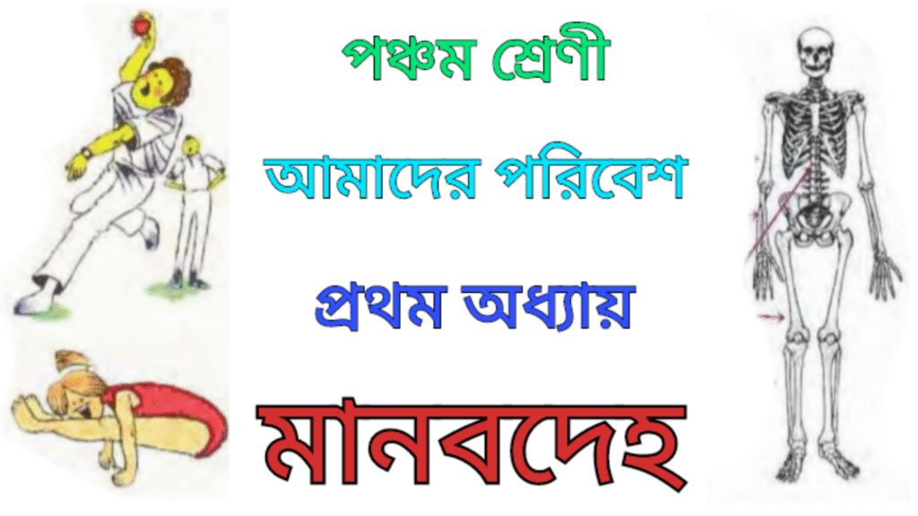 WB Class 5 Amader Poribesh Chapter 1