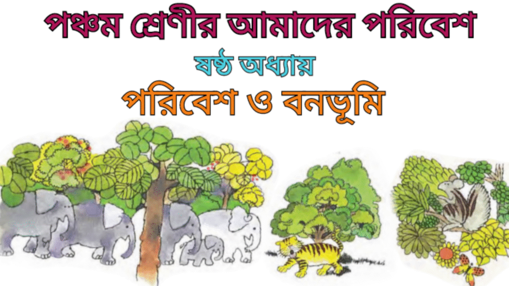 WB Class 5 Amader Poribesh Chapter 6