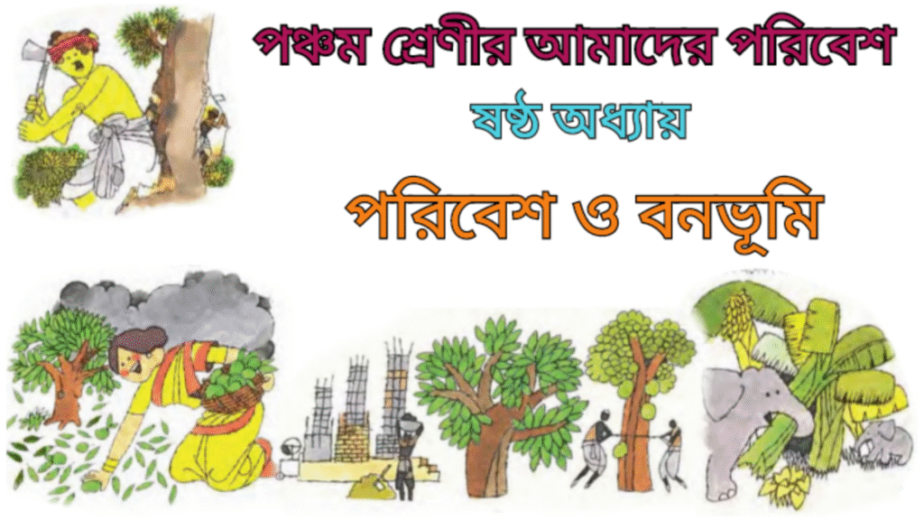 WB Class 5 Amader Poribesh Chapter 6