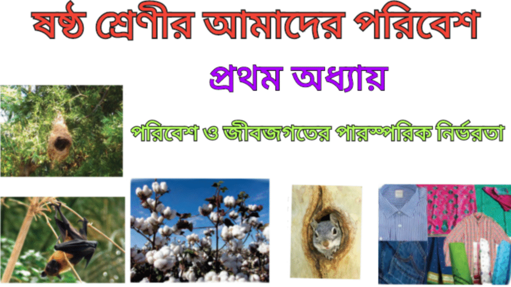 WB Class 6 Amader Poribesh Chapter 1