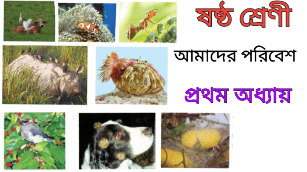 WB Class 6 Amader Poribesh Chapter 1WB Class 6 Amader Poribesh Chapter 1