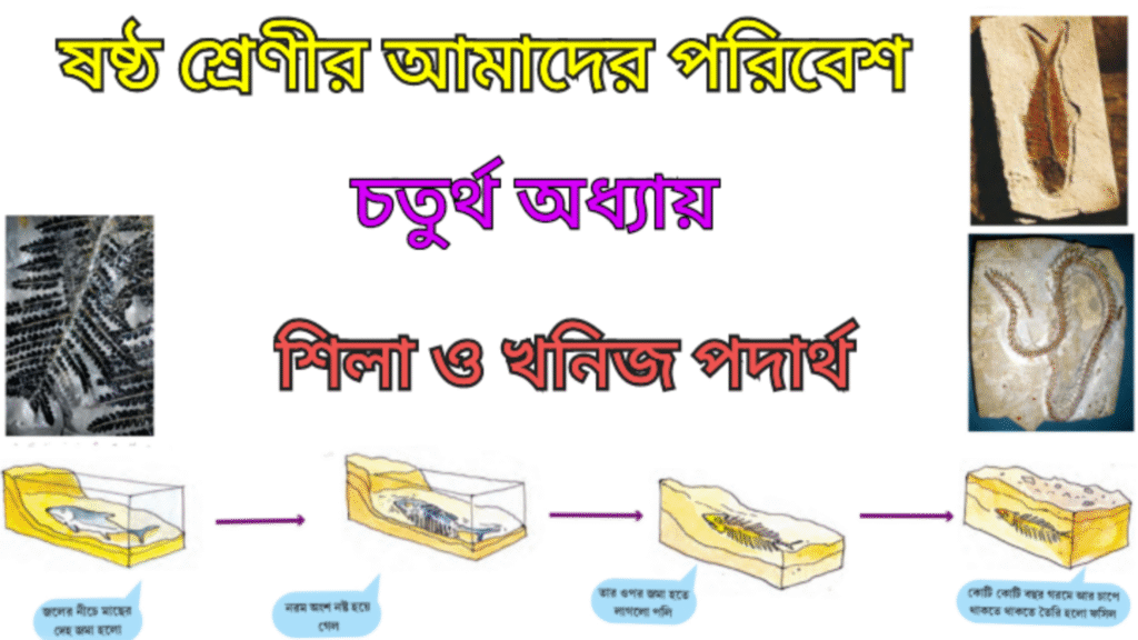 WB Class 6 Amader Poribesh Chapter 4