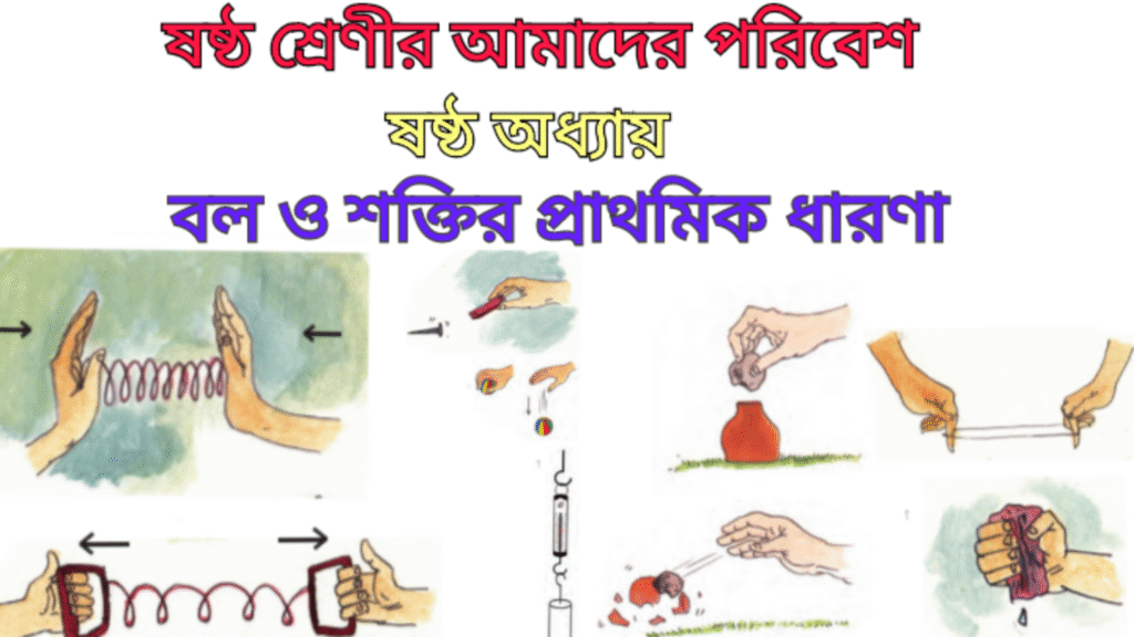 WB Class 6 Amader Poribesh Chapter 6