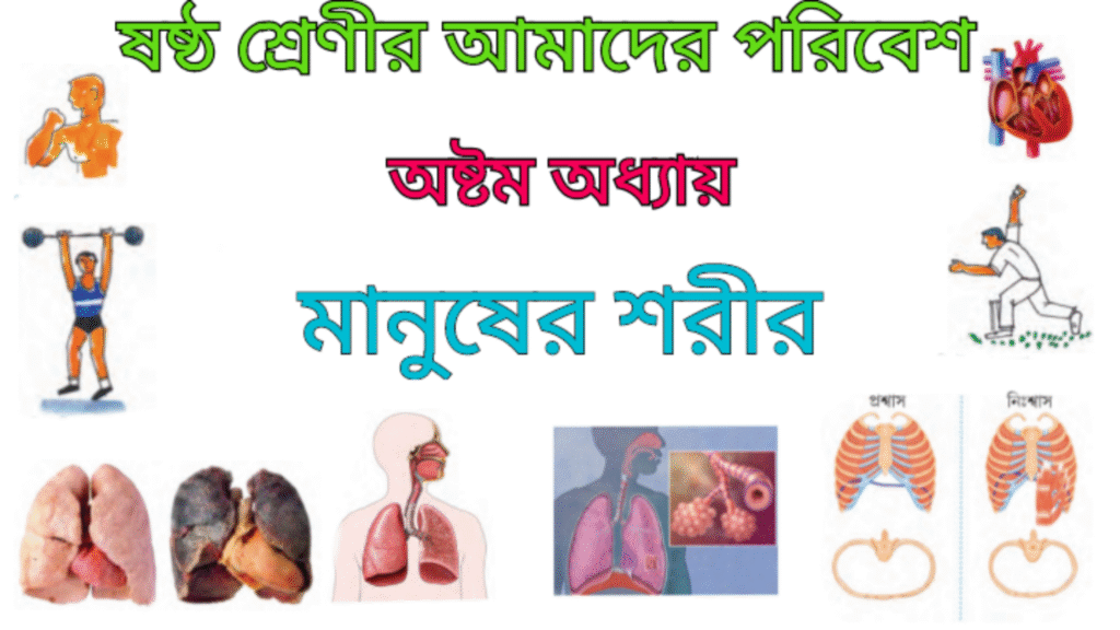 WB Class 6 Amader Poribesh Chapter 8