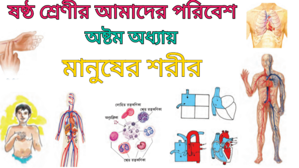 WB Class 6 Amader Poribesh Chapter 8