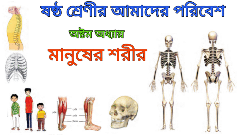 WB Class 6 Amader Poribesh Chapter 8