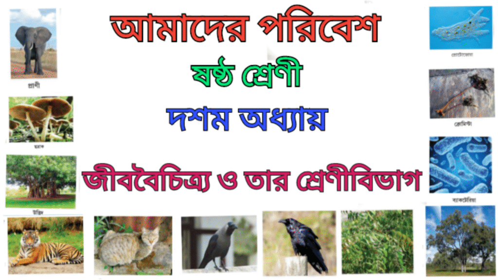 WB Class 6 Amader Poribesh Chapter 10