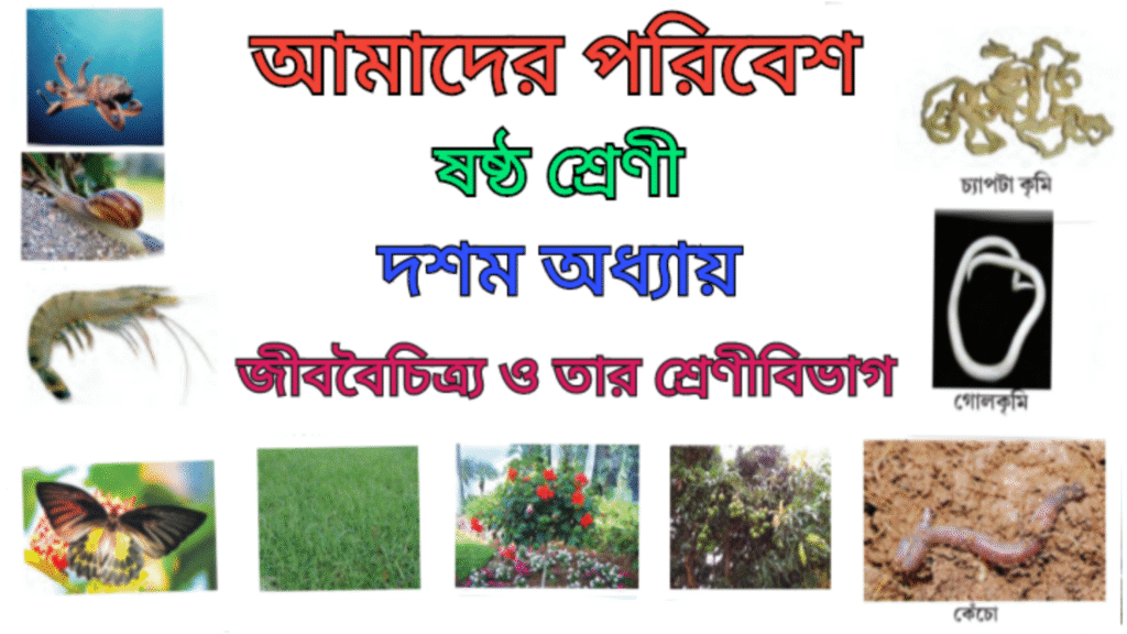 WB Class 6 Amader Poribesh Chapter 10