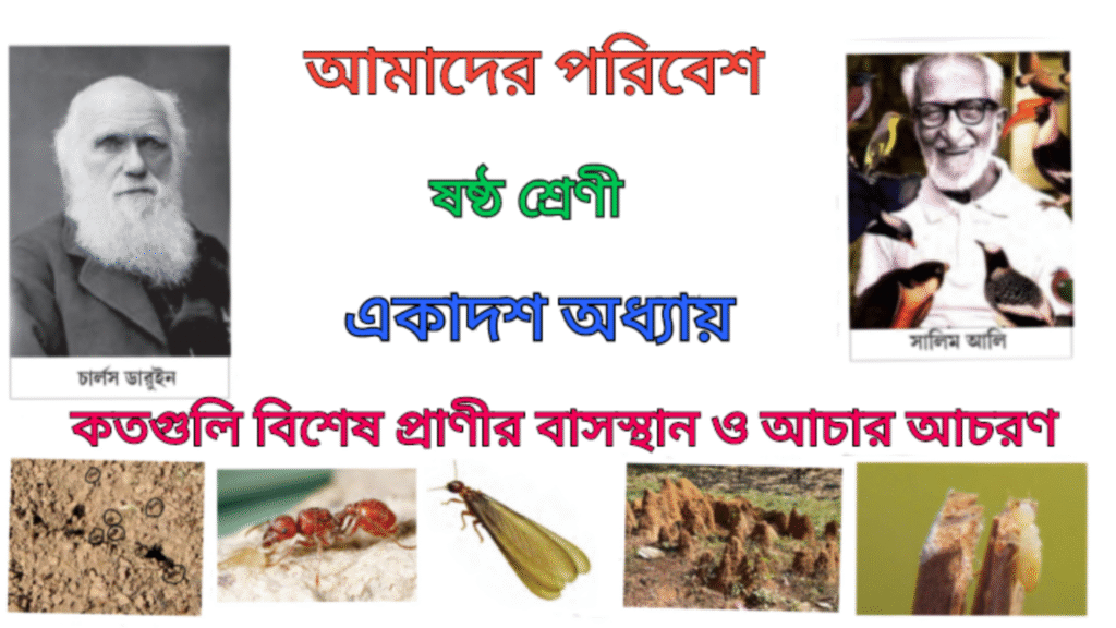 WB Class 6 Amader Poribesh Chapter 11