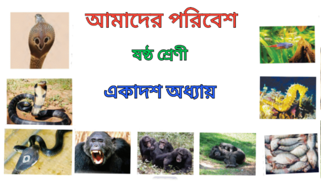 WB Class 6 Amader Poribesh Chapter 11