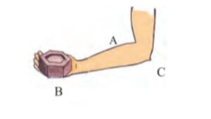 WB Class 6 Amader Poribesh Chapter 9