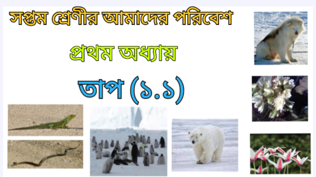 WB Class 7 Amader Poribesh Chapter 1.1 Tap