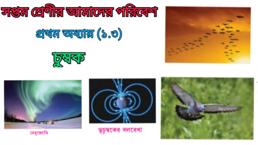 WB Class 7 Poribesh Chapter 1.3