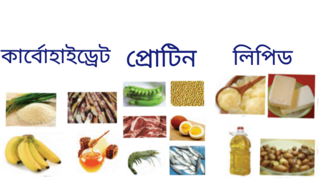 WB Class 7 Poribesh Chapter 5