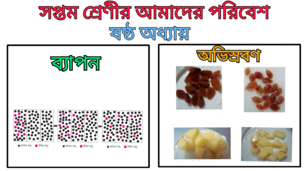 WB Class 7 Poribesh Chapter 6