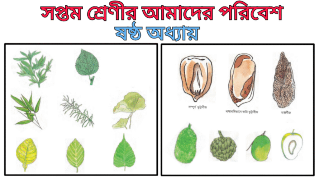 WB Class 7 Poribesh Chapter 6