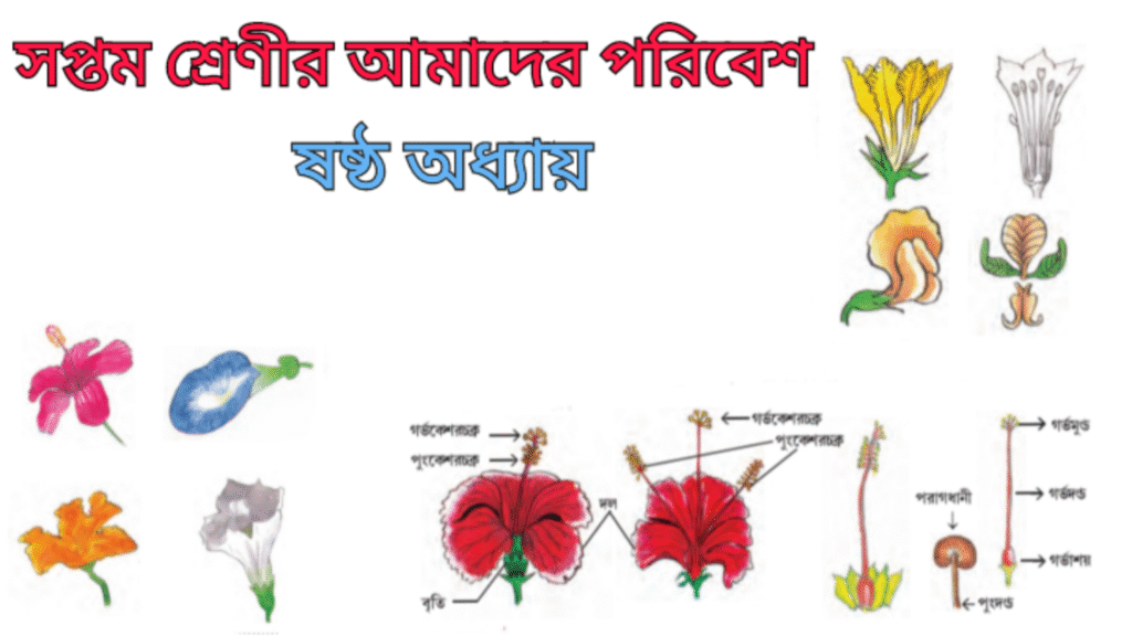 WB Class 7 Poribesh Chapter 6