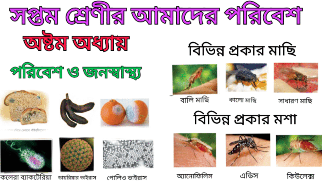 WB Class 7 Poribesh Chapter 8