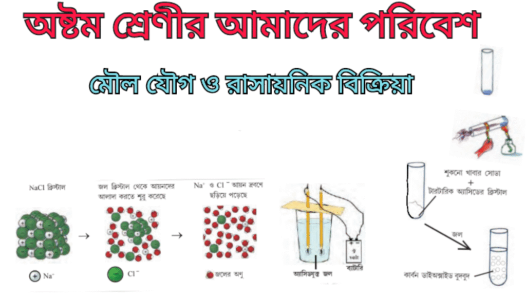 WB Class 8 Poribesh Chapter 2.3 রাসায়নিক বিক্রিয়া