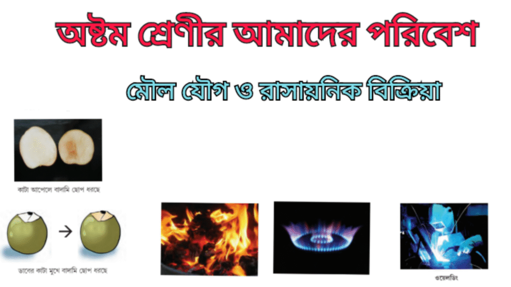 WB Class 8 Poribesh Chapter 2.3 রাসায়নিক বিক্রিয়া