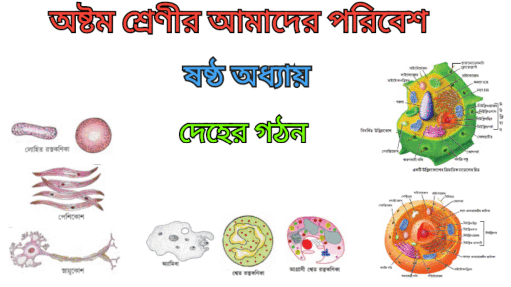 WB Class 8 Poribesh Chapter 6