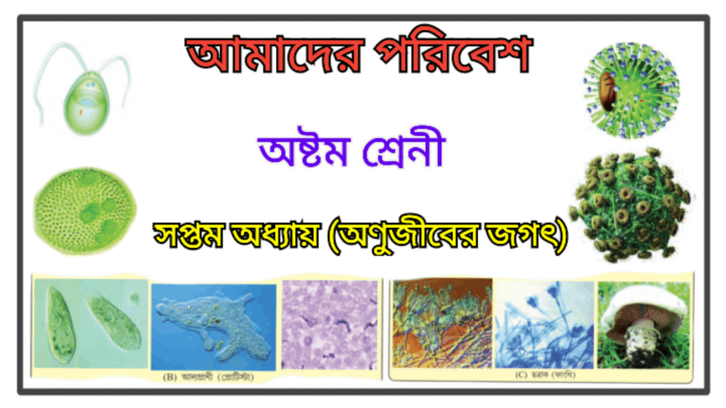 WB Class 8 Amader Poribesh Chapter 7